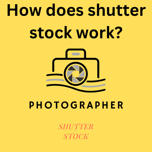 Shutterstock platform overview, connecting creatives and businesses with a wide array of stock images, videos, and music